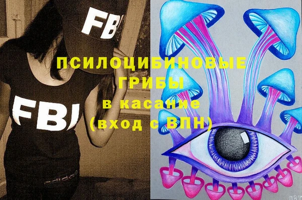 амф Пересвет
