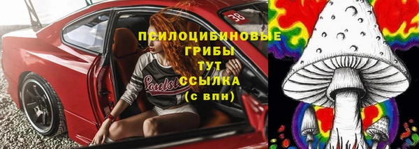 амф Пересвет