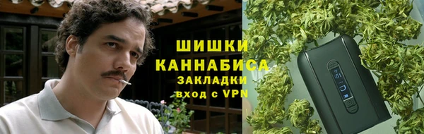 амф Пересвет