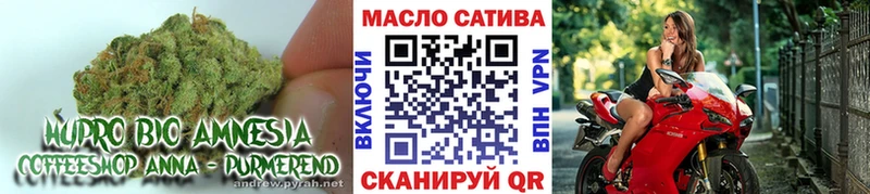 Дистиллят ТГК Wax Остров